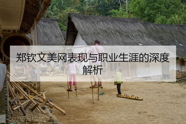 郑钦文美网表现与职业生涯的深度解析